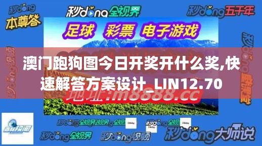 澳门跑狗图今日开奖开什么奖,快速解答方案设计_LIN12.70