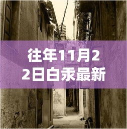 揭秘往年11月22日白汞最新价格，小巷深处的神秘传奇