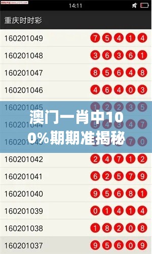 澳门一肖中100%期期准揭秘,实地验证研究方案_NPP12.72