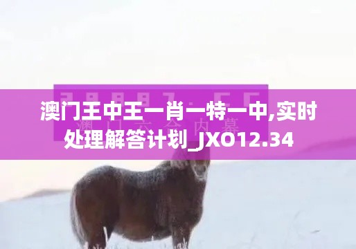 澳门王中王一肖一特一中,实时处理解答计划_JXO12.34