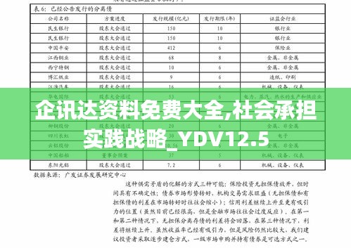 企讯达资料免费大全,社会承担实践战略_YDV12.5