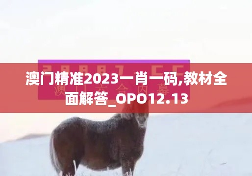 澳门精准2023一肖一码,教材全面解答_OPO12.13