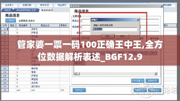 管家婆一票一码100正确王中王,全方位数据解析表述_BGF12.9