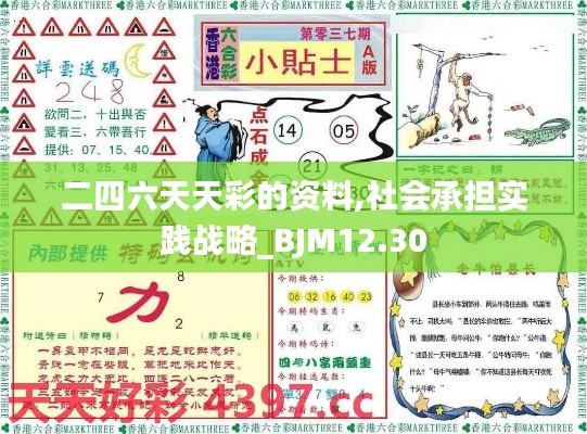 二四六天天彩的资料,社会承担实践战略_BJM12.30