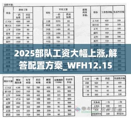 2025部队工资大幅上涨,解答配置方案_WFH12.15