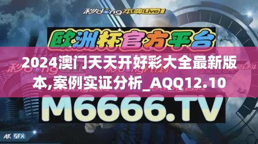 2024澳门天天开好彩大全最新版本,案例实证分析_AQQ12.10