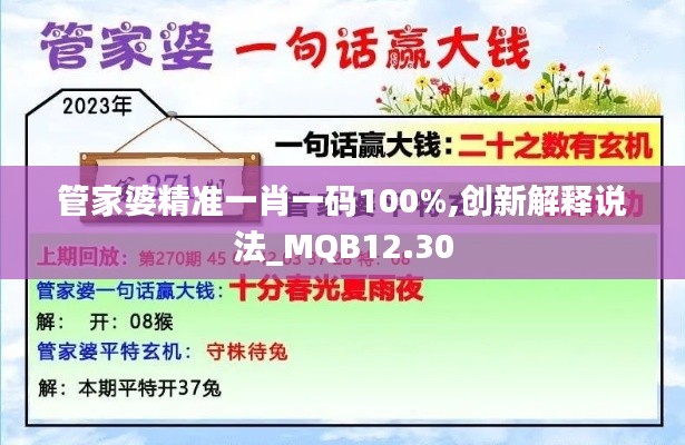 管家婆精准一肖一码100%,创新解释说法_MQB12.30