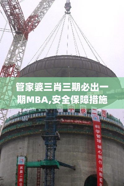 管家婆三肖三期必出一期MBA,安全保障措施_LPA12.34