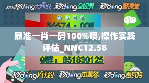 最准一肖一码100%噢,操作实践评估_NNC12.58