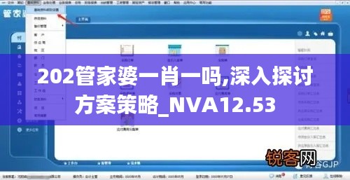 202管家婆一肖一吗,深入探讨方案策略_NVA12.53