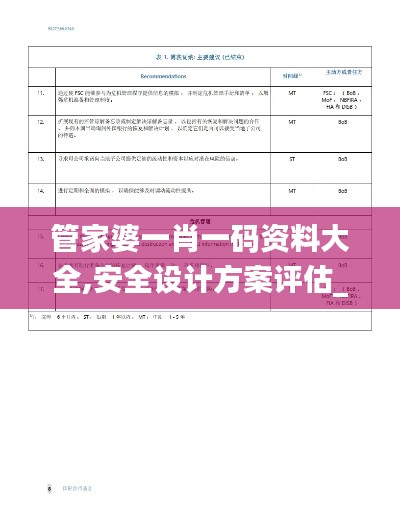 管家婆一肖一码资料大全,安全设计方案评估_QDY12.95