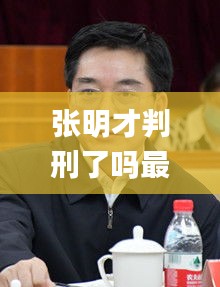 张明才判刑了吗最新消息视频,快速问题解答_NLJ12.10