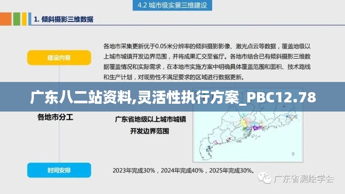 广东八二站资料,灵活性执行方案_PBC12.78