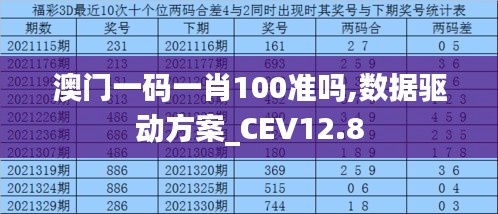 澳门一码一肖100准吗,数据驱动方案_CEV12.8