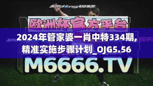 2024年管家婆一肖中特334期,精准实施步骤计划_OJG5.56