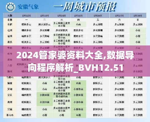 2024管家婆资料大全,数据导向程序解析_BVH12.51