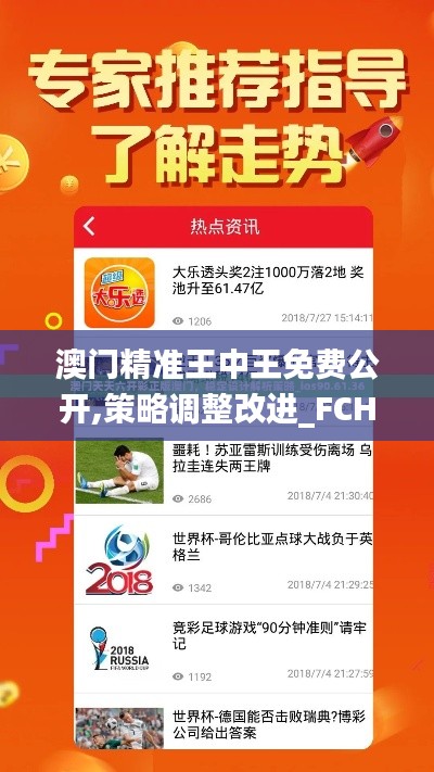 澳门精准王中王免费公开,策略调整改进_FCH12.89