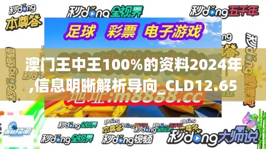 澳门王中王100%的资料2024年,信息明晰解析导向_CLD12.65