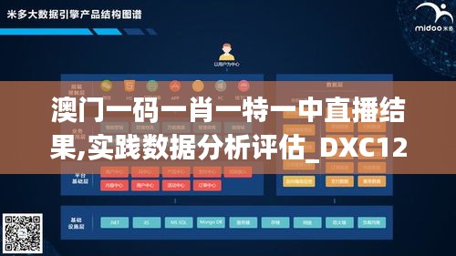 澳门一码一肖一特一中直播结果,实践数据分析评估_DXC12.88