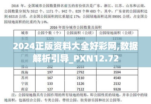 2024正版资料大全好彩网,数据解析引导_PXN12.72