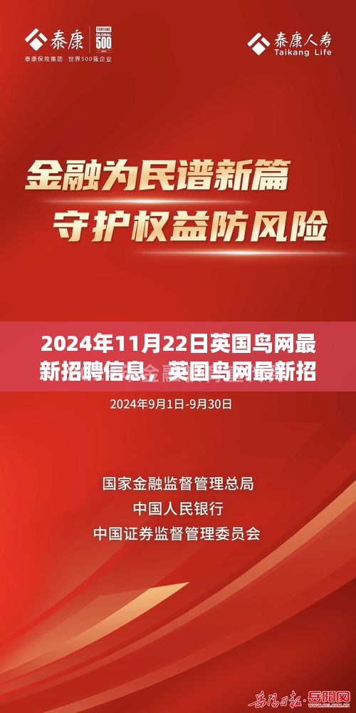 英国鸟网最新招聘信息揭秘，行业变革与机遇聚焦于2024年11月22日