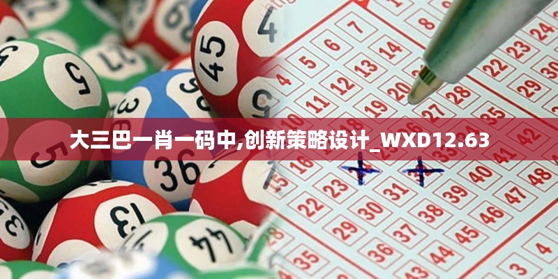 大三巴一肖一码中,创新策略设计_WXD12.63