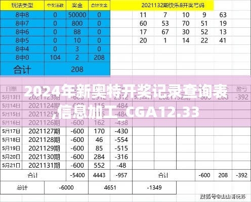 2024年新奥特开奖记录查询表,信息加工_CGA12.33