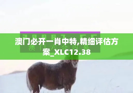 澳门必开一肖中特,精细评估方案_XLC12.38