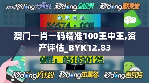 澳门一肖一码精准100王中王,资产评估_BYK12.83