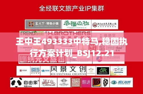 王中王493333中特马,稳固执行方案计划_BSJ12.21