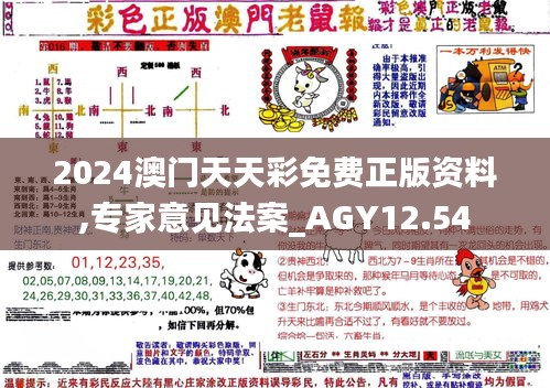 2024澳门天天彩免费正版资料,专家意见法案_AGY12.54