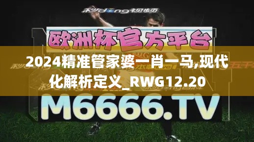 2024精准管家婆一肖一马,现代化解析定义_RWG12.20