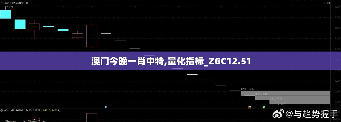 澳门今晚一肖中特,量化指标_ZGC12.51