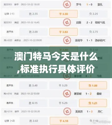 澳门特马今天是什么,标准执行具体评价_PLG12.64