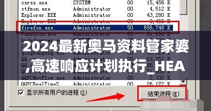 2024最新奥马资料管家婆,高速响应计划执行_HEA12.49