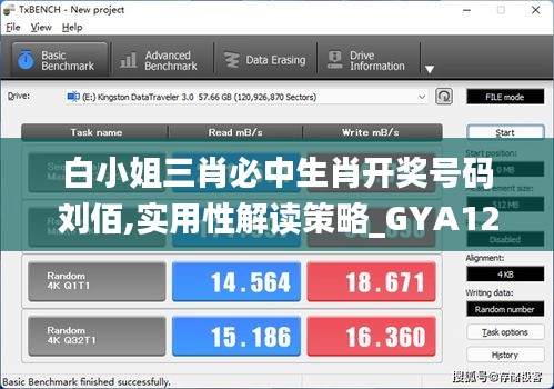 白小姐三肖必中生肖开奖号码刘佰,实用性解读策略_GYA12.93