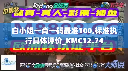 白小姐一肖一码最准100,标准执行具体评价_KMC12.74