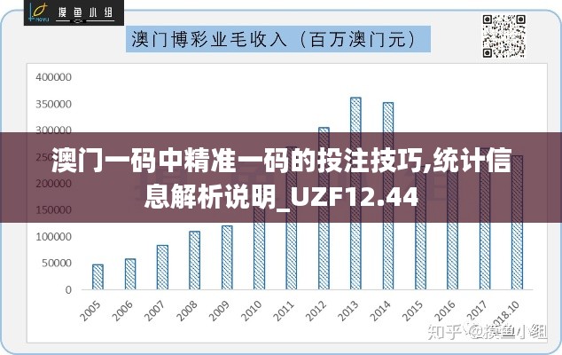 澳门一码中精准一码的投注技巧,统计信息解析说明_UZF12.44