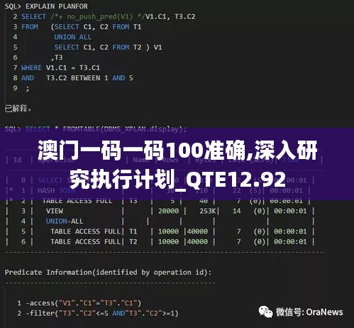 澳门一码一码100准确,深入研究执行计划_QTE12.92