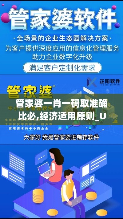 管家婆一肖一码取准确比必,经济适用原则_UZN12.51