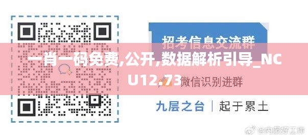 一肖一码免费,公开,数据解析引导_NCU12.73