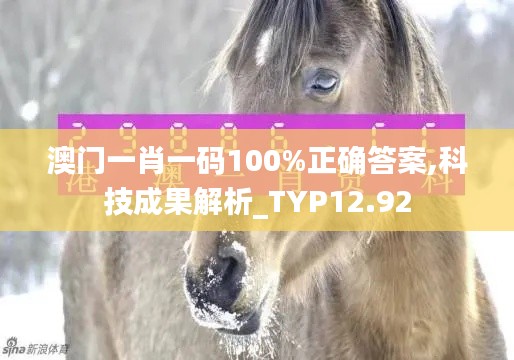 澳门一肖一码100%正确答案,科技成果解析_TYP12.92