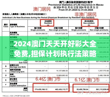 2024澳门天天开好彩大全免费,担保计划执行法策略_JON12.63