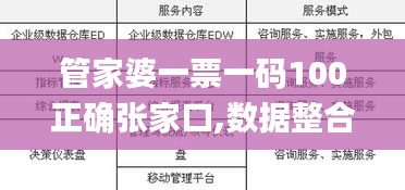 管家婆一票一码100正确张家口,数据整合解析计划_MNB12.9