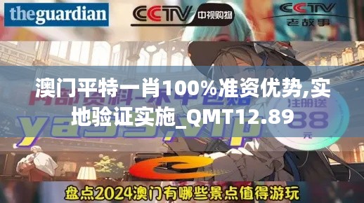 澳门平特一肖100%准资优势,实地验证实施_QMT12.89