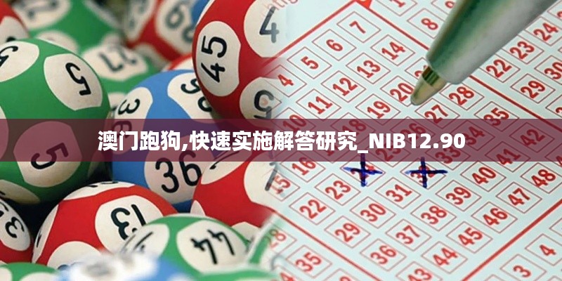 澳门跑狗,快速实施解答研究_NIB12.90