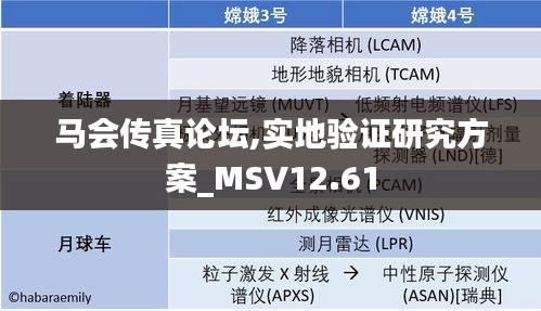 马会传真论坛,实地验证研究方案_MSV12.61