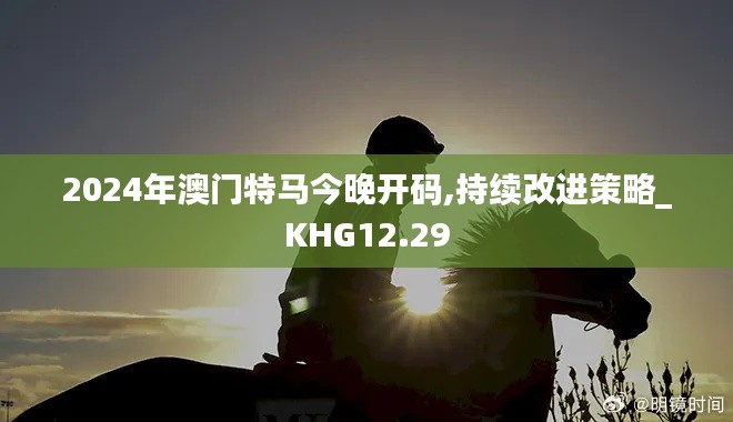 2024年澳门特马今晚开码,持续改进策略_KHG12.29