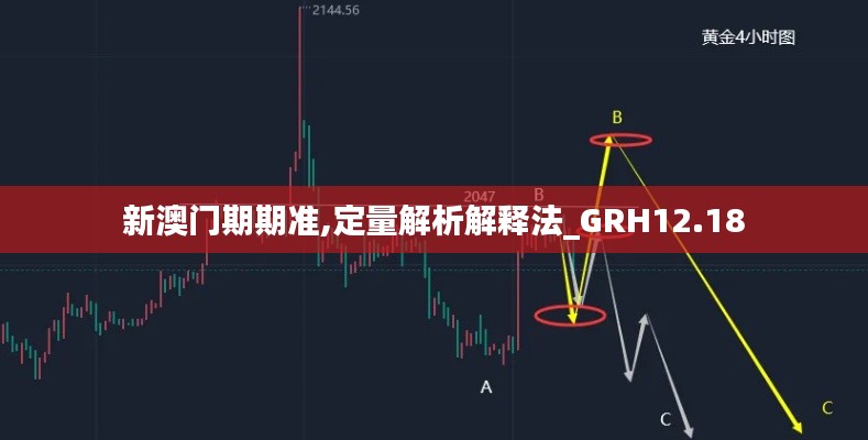 新澳门期期准,定量解析解释法_GRH12.18