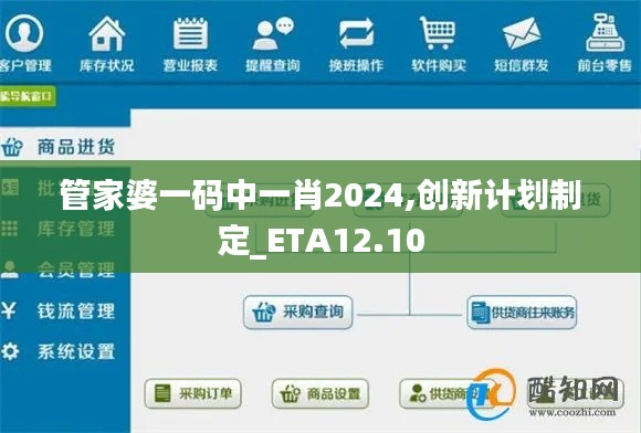 管家婆一码中一肖2024,创新计划制定_ETA12.10